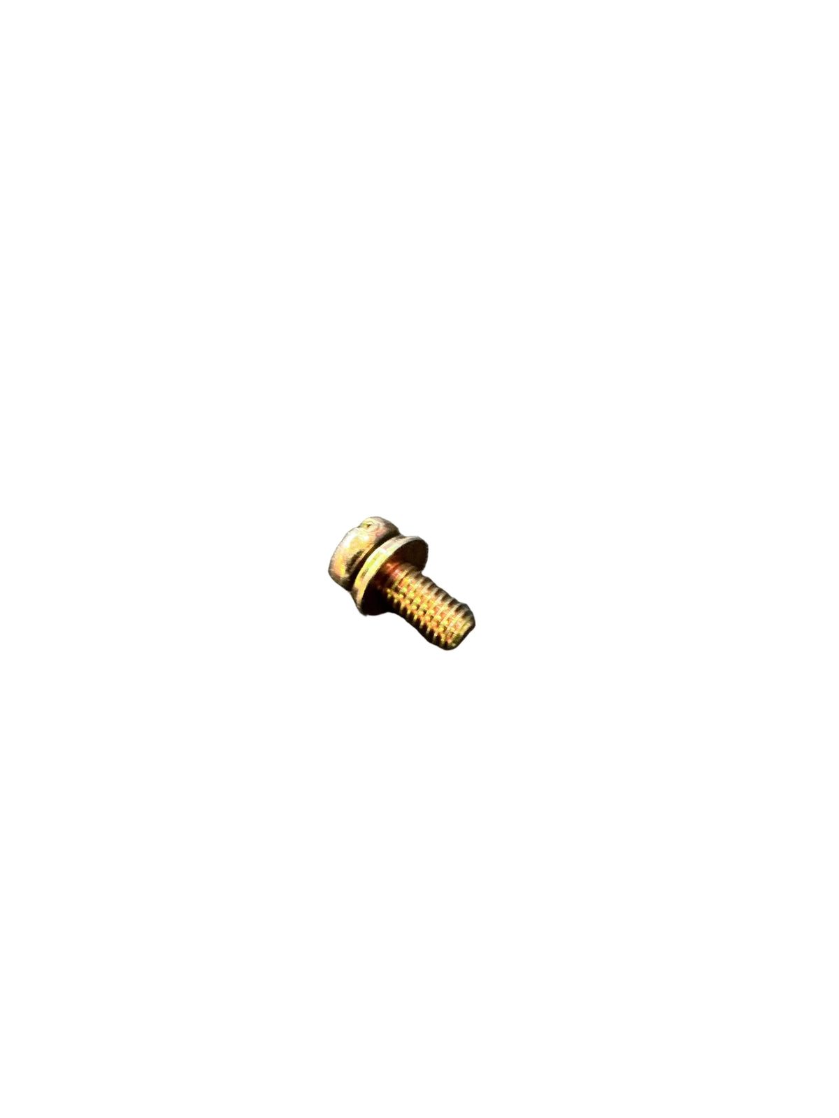 Mantis OEM Screw 4X10 900242-04010 | New